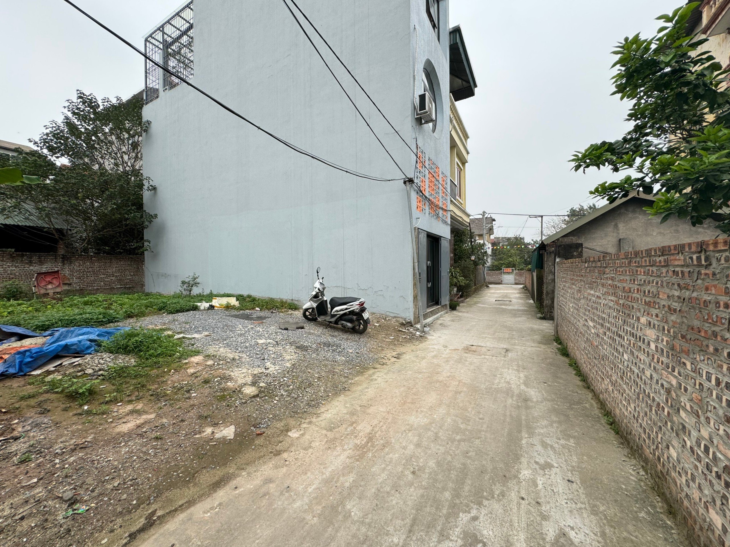 z5314601647010_07c159814dd66e0dcd58a9b9fa3f061c