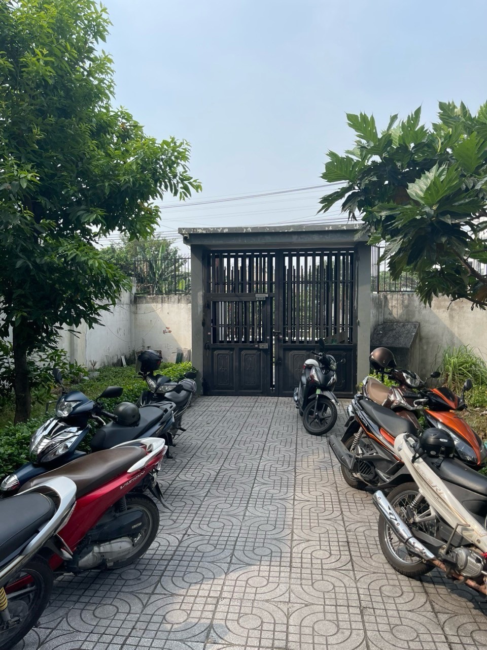 z5318434539506_9bad4793314a4b46961339dbb8607342