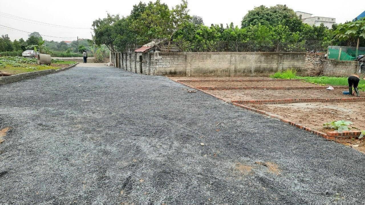 z5321498367343_087abac32819a1e7932efe16d8c065fc