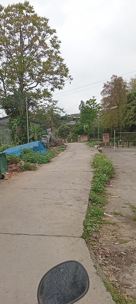 z5321646789020_4013512cd3e757f708447b5a6591431d