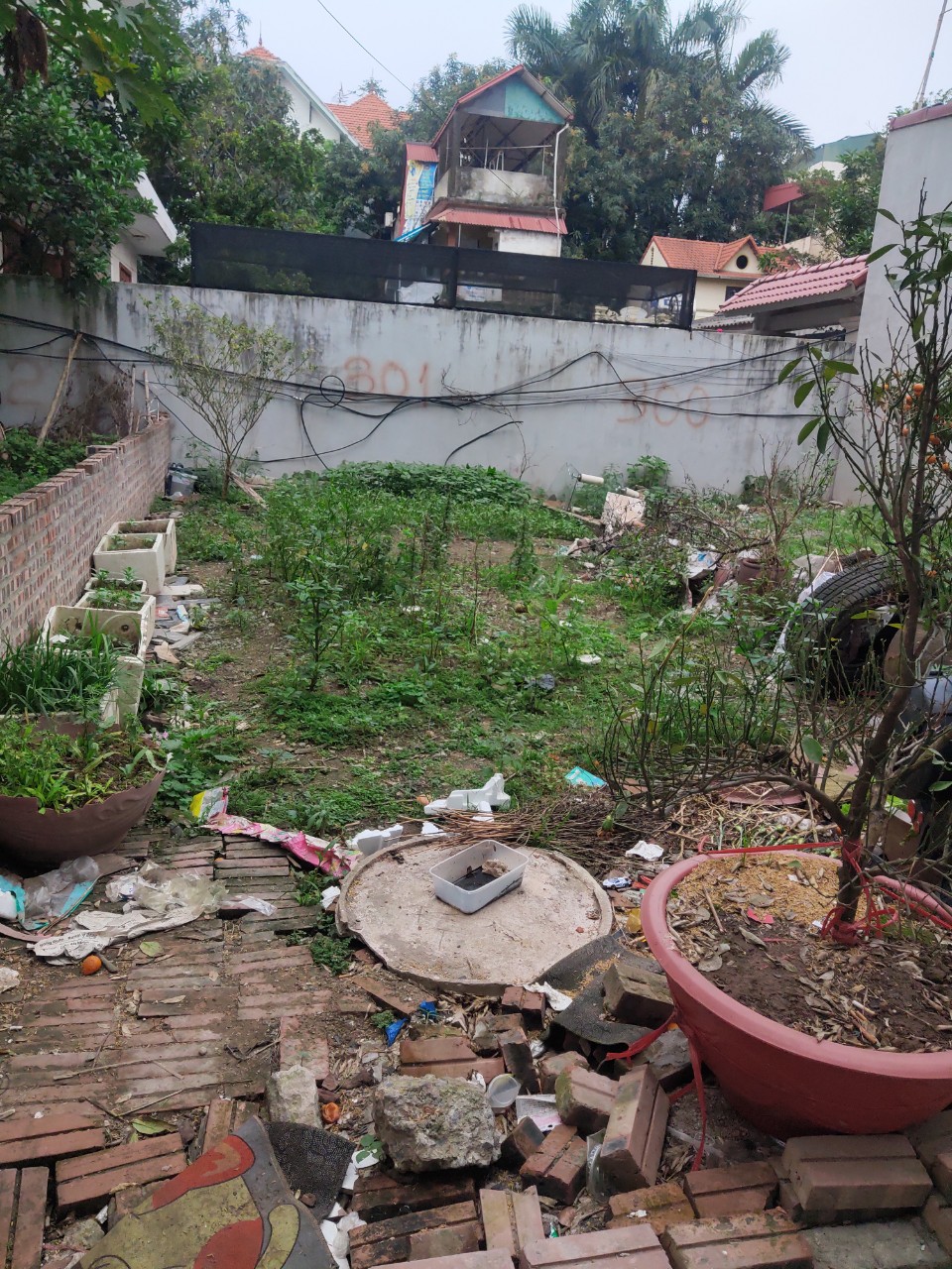 z5321710988943_fdc9f7e4d267684459ae1a31d6956b36