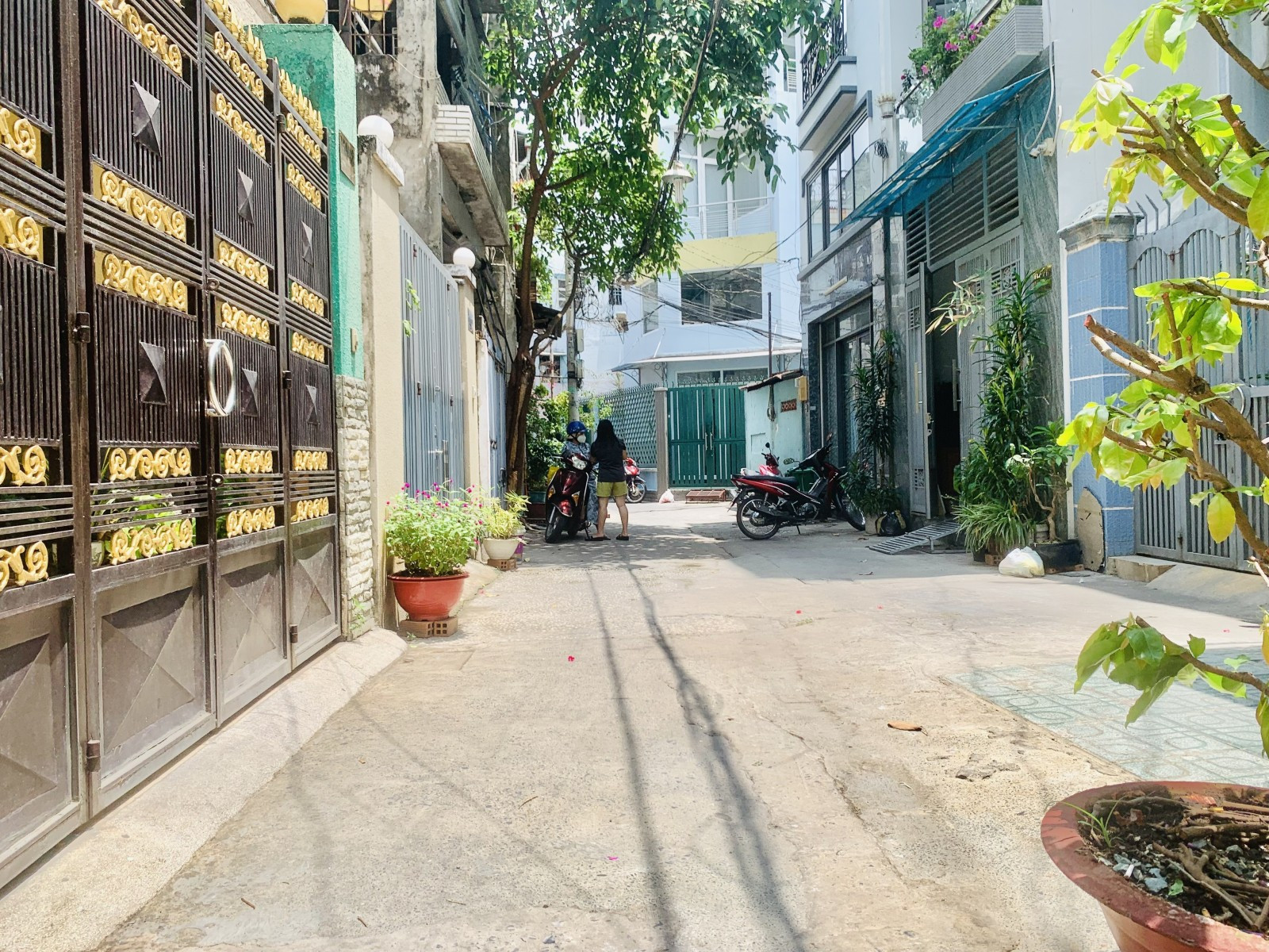 z5321861333517_2a31bd6c7590c7e6d2031059510dcfd0