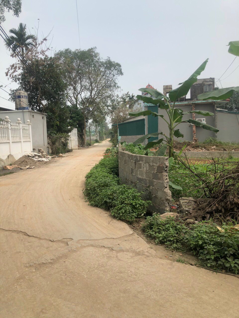 z5321942622127_06127b66597bb24d573e9381827754cb