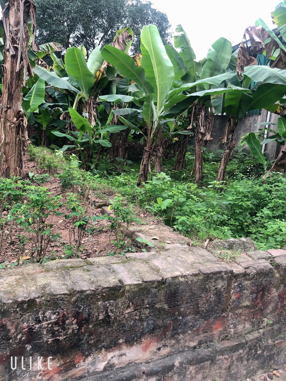 z5321966076945_e1bce87f4f07584dbc628c6eb2aa444b