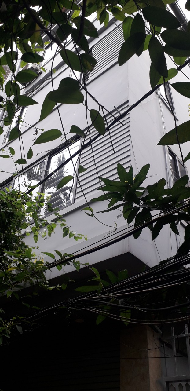 z5323037821804_f42ba8d2a6d0731354138d7659070760