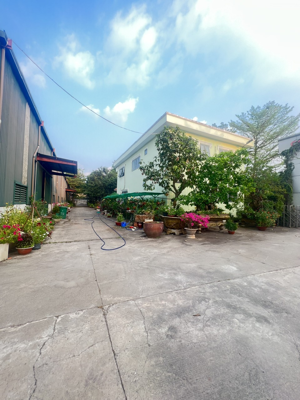 z5323212575493_ad758ac617dab41175785a9167cce5e6