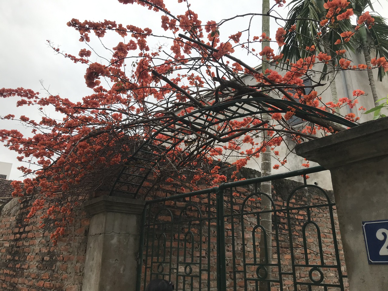 z5324534172567_d2bcd876d5b699edbf319ef4679f2e0b