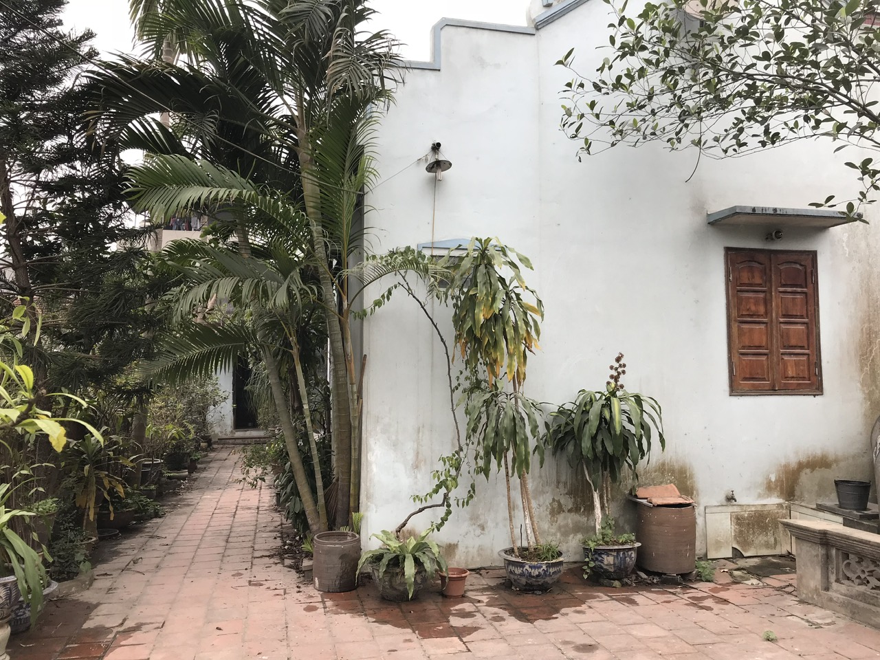 z5324535523620_ece9a9a3fa4cd9124d9a5ea882fa9f77