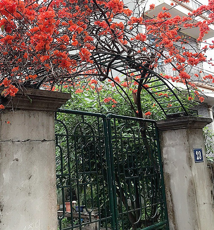 z5324535761035_ea6f45d0a018d9b6f0be7cfbd248891d