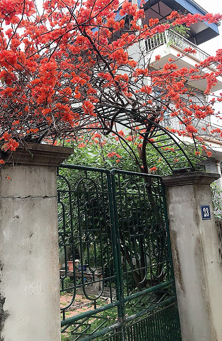 z5324535761035_ea6f45d0a018d9b6f0be7cfbd248891d