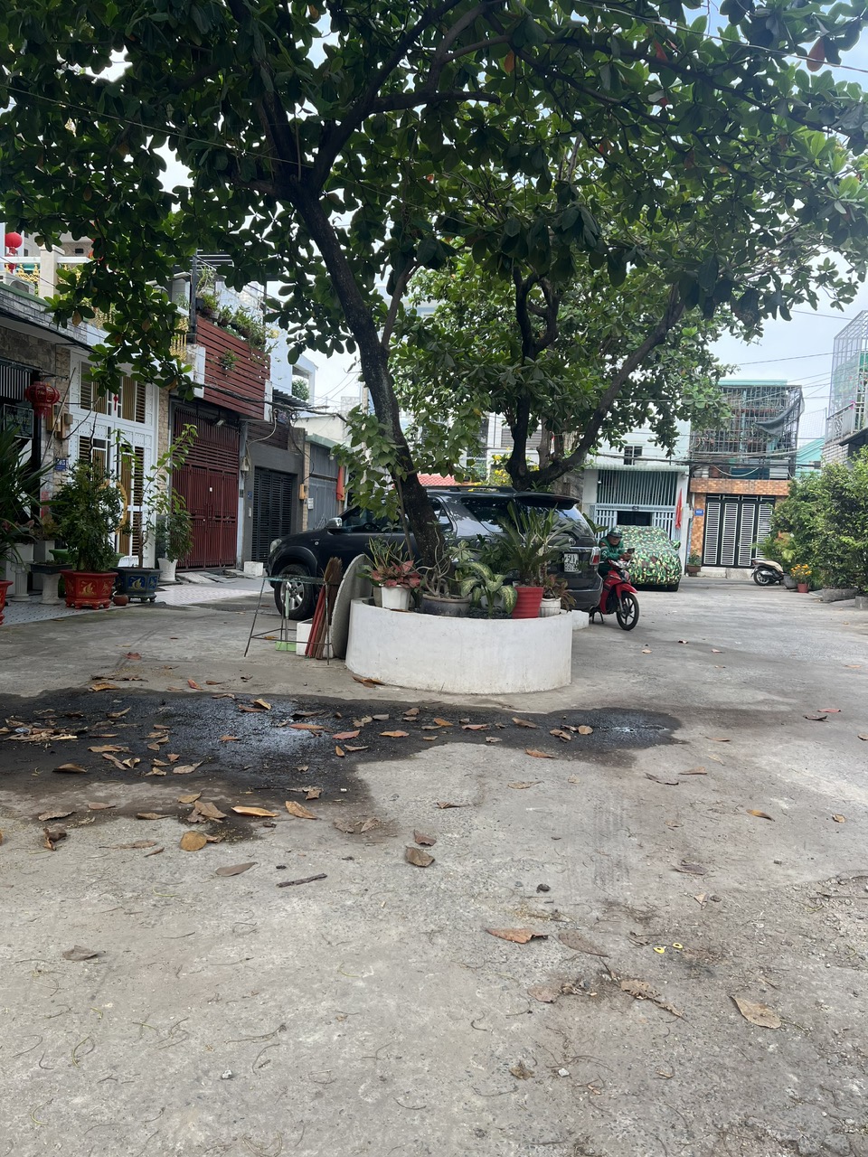 z5329503048742_b03680cbacf1119aaacb83a601d1fa3c