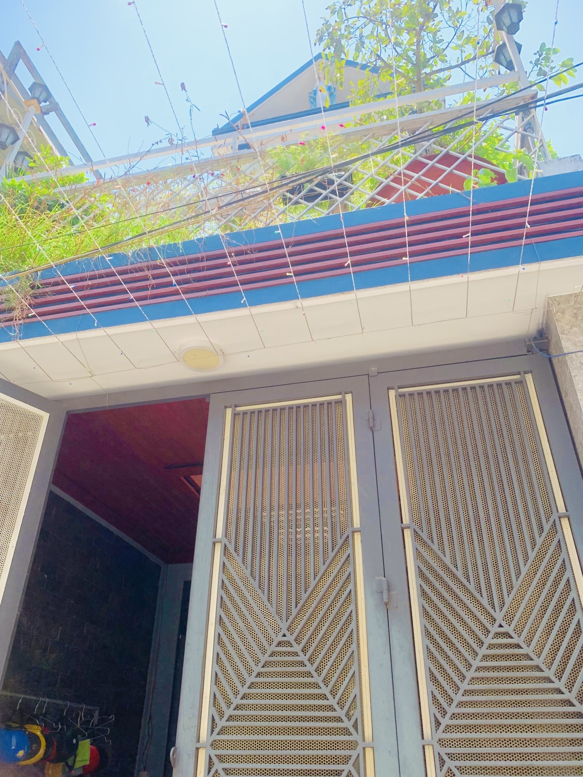 z5332454011255_33f2b69954447593e2a380876ffe97dc