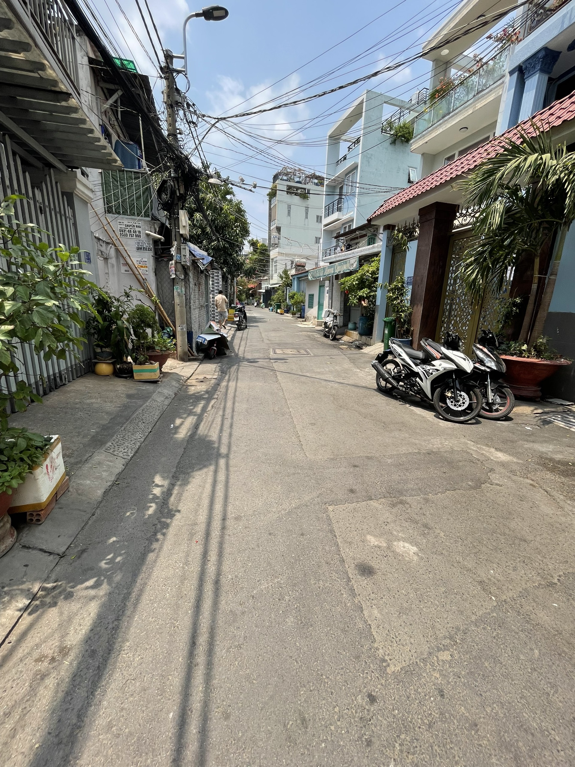 z5336339096722_7d14454e7ee038fc3dc30f405ed1a223