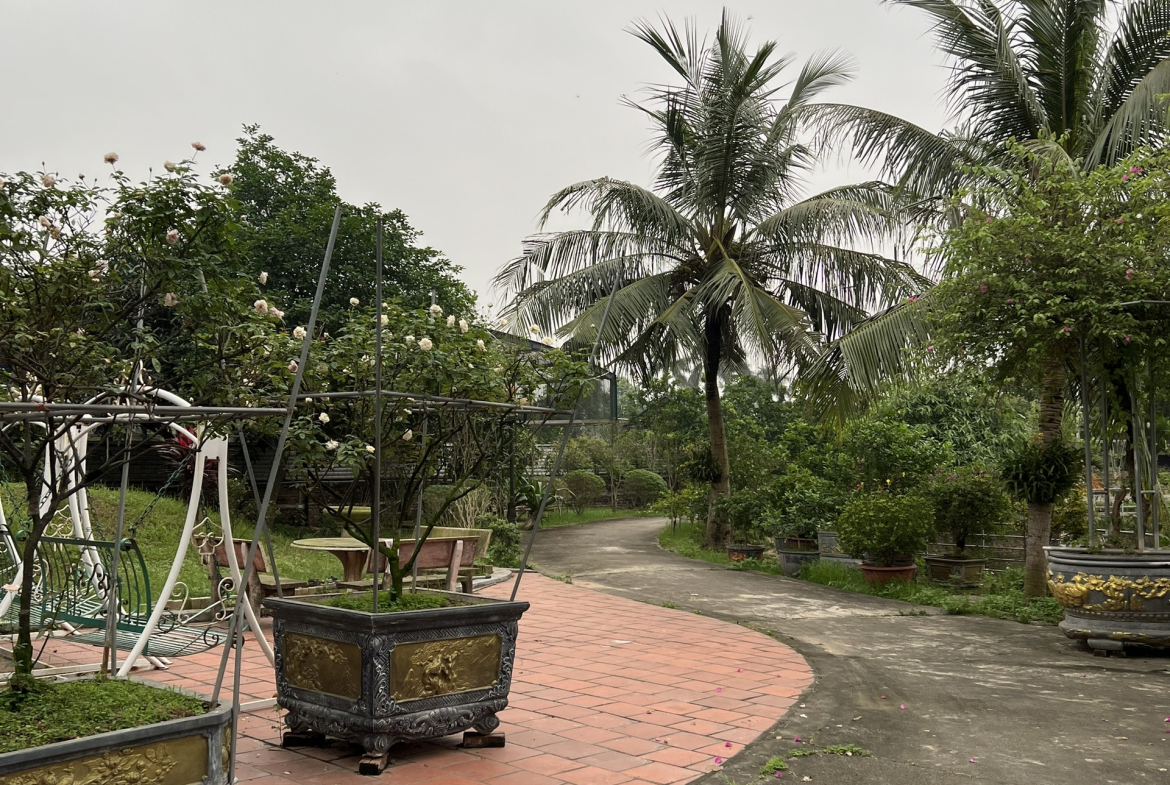 z5337349999173_38eb6082ce643dddacb638f794554e46