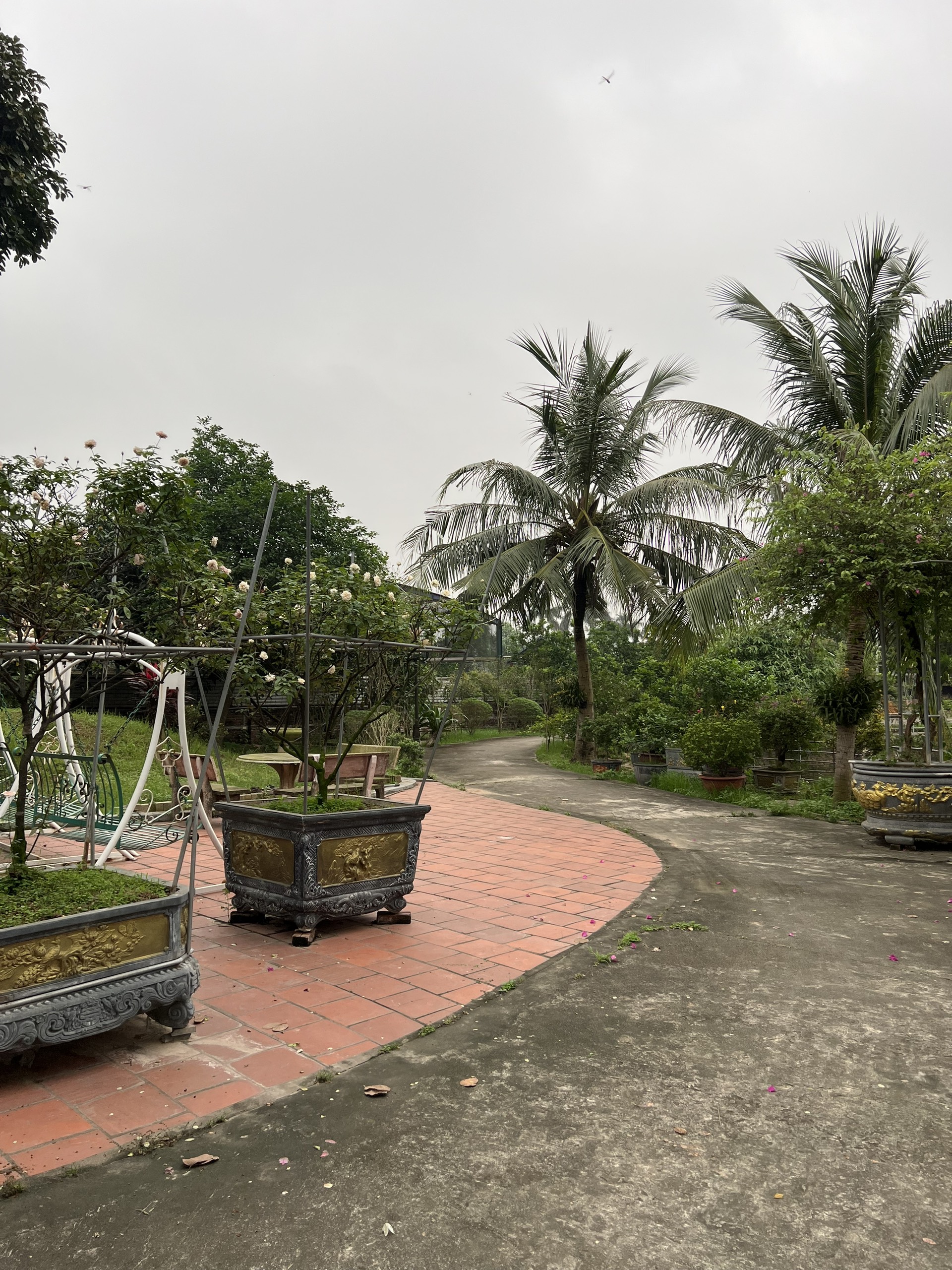 z5337349999173_38eb6082ce643dddacb638f794554e46