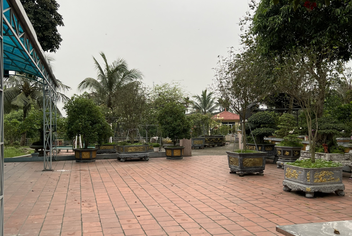 z5337349999868_d694b888b32ed5a04bb01a5a63b1e9f3