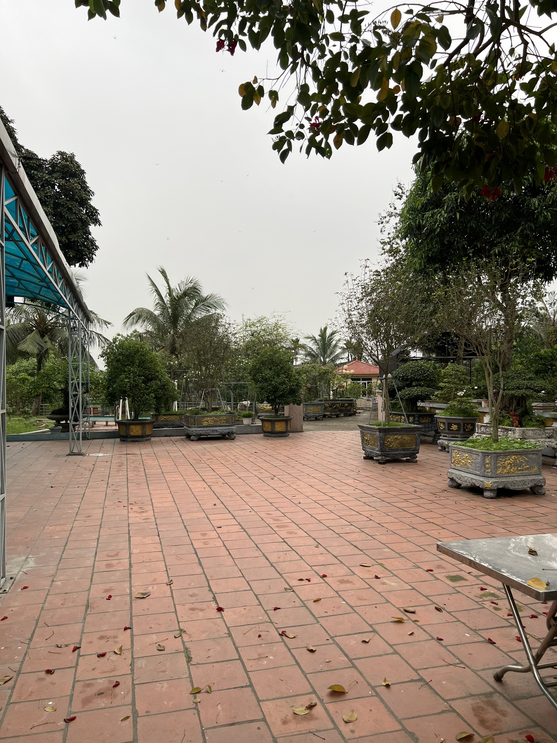 z5337349999868_d694b888b32ed5a04bb01a5a63b1e9f3