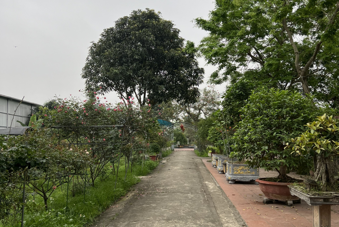 z5337350004380_a77c76746504e8ea046c9a58c228a5b2