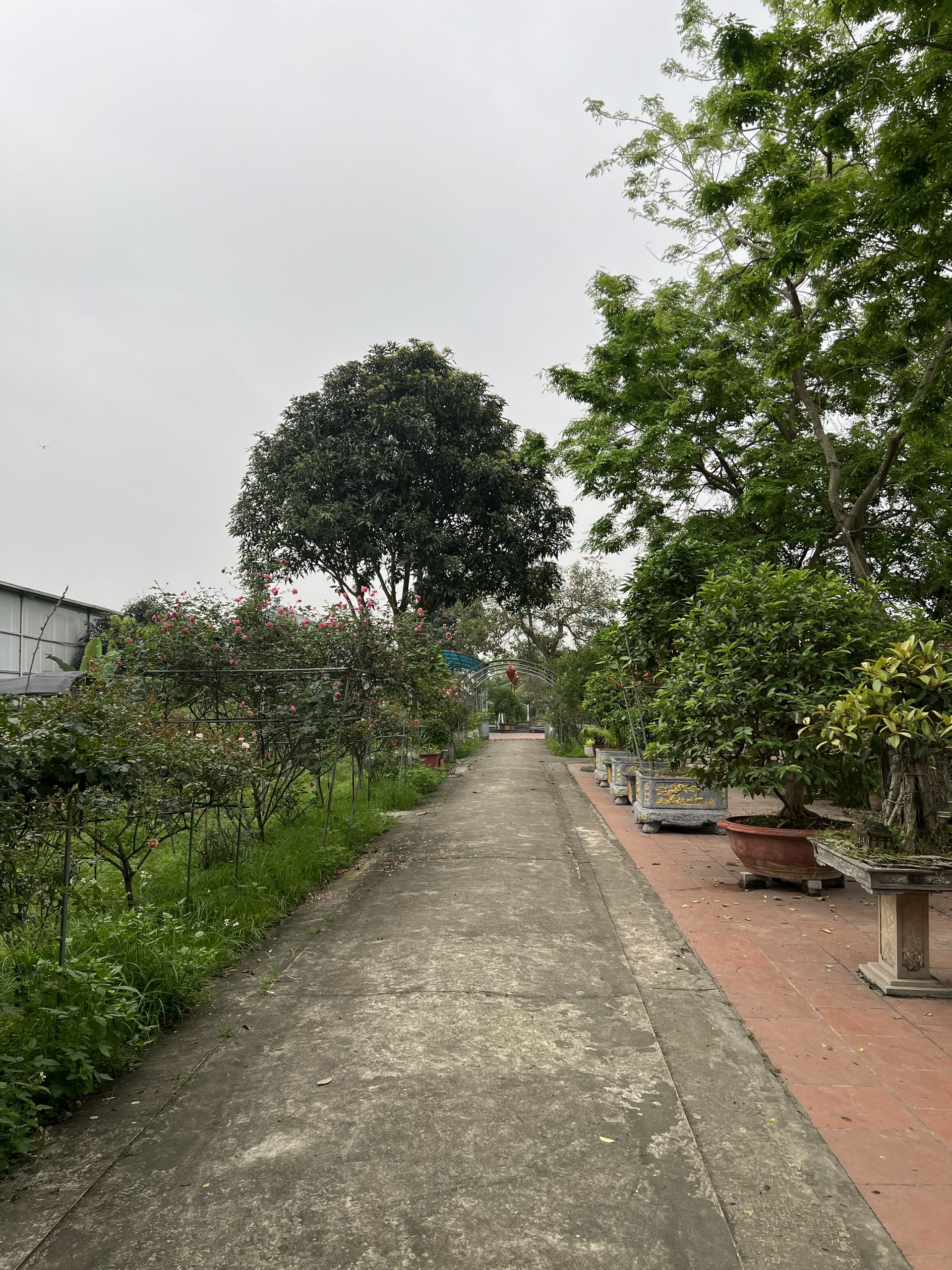 z5337350004380_a77c76746504e8ea046c9a58c228a5b2