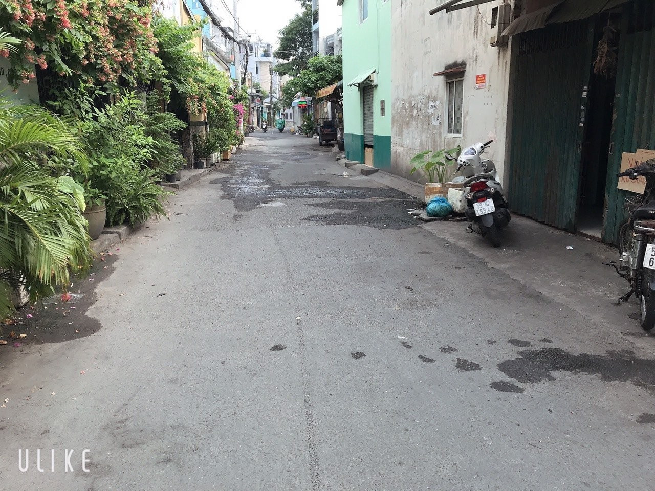 z5339027408938_f5c618dc00a38b8f26eb848085e11d0f