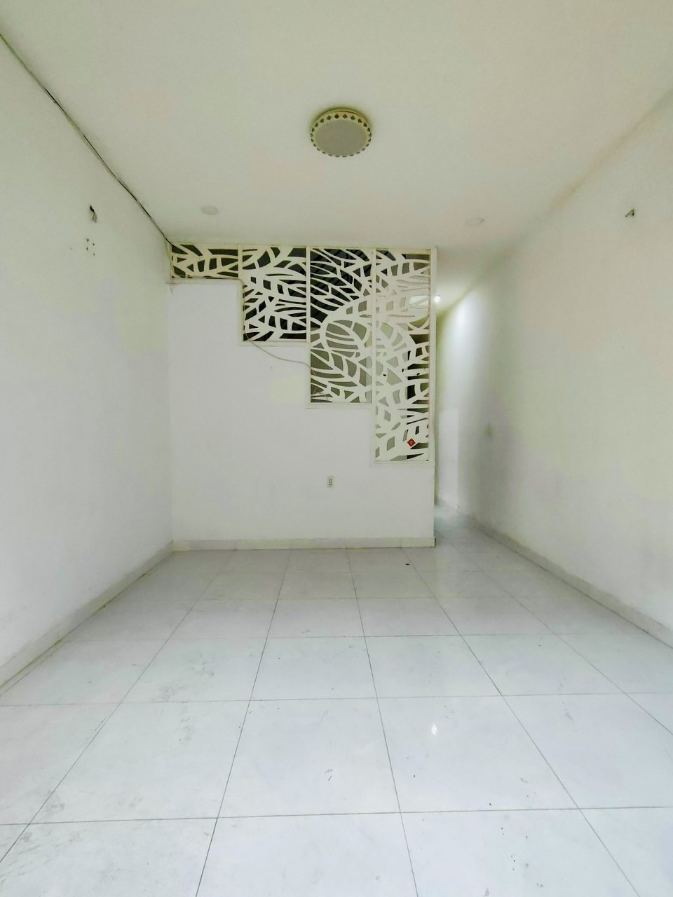 z5340673084006_3b611195ff5e8e2b4325814747f4e6de (1)