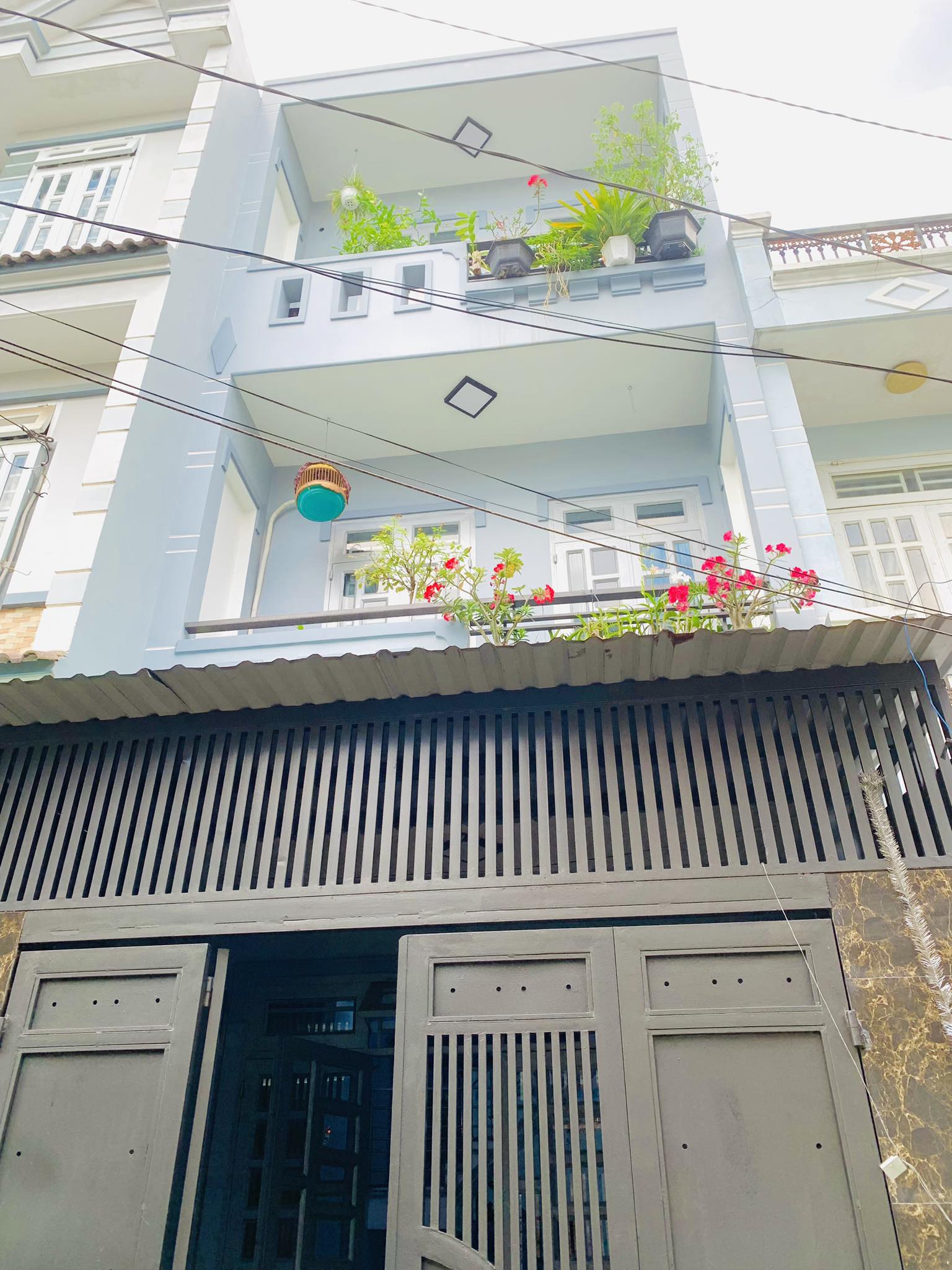 z5341496928714_71fa364c415737ebfc9a326fb9f4a3fb