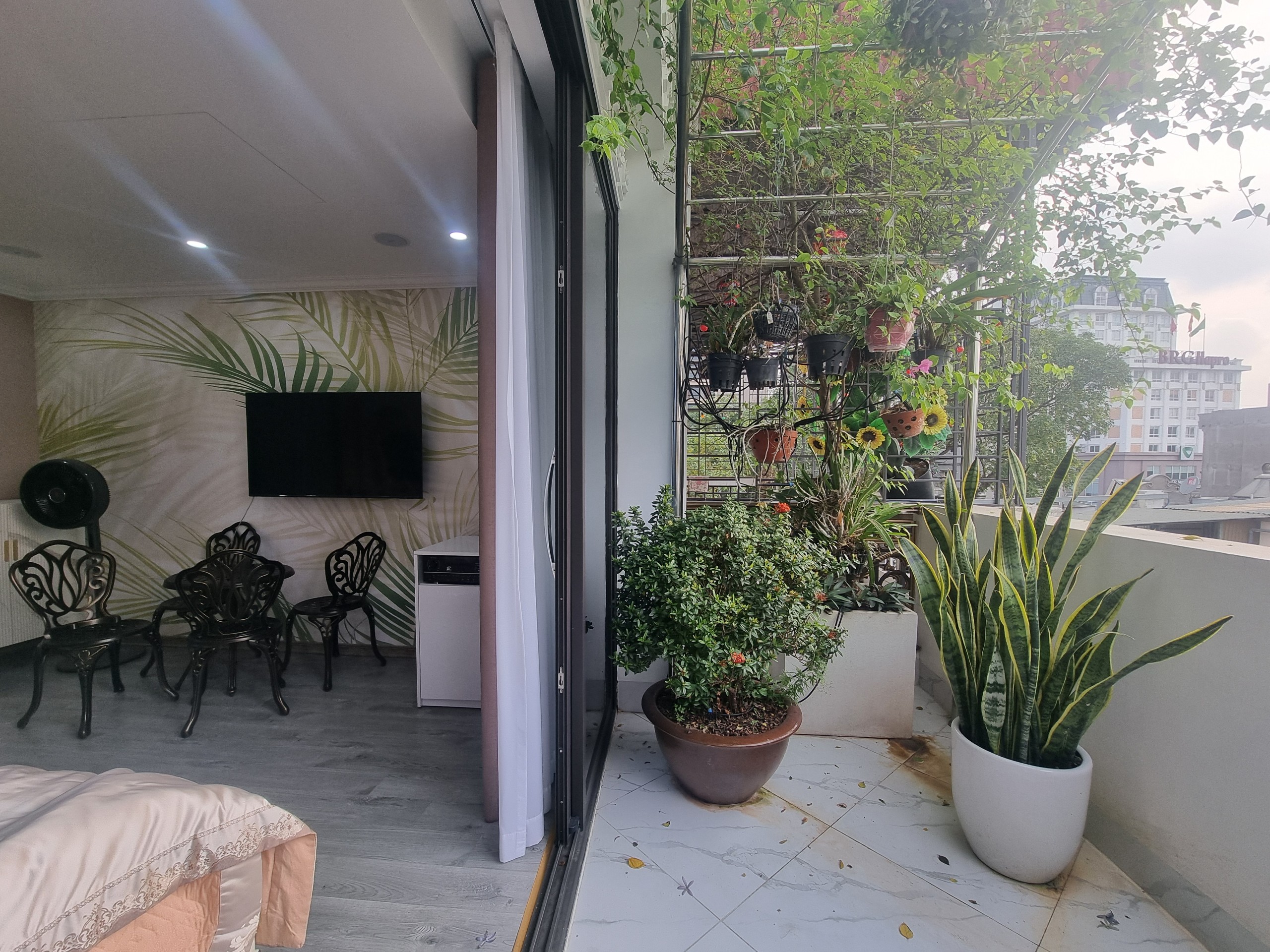 z5342427438059_9cc7c7a3467a7bc47bdb38e20fb1cd25