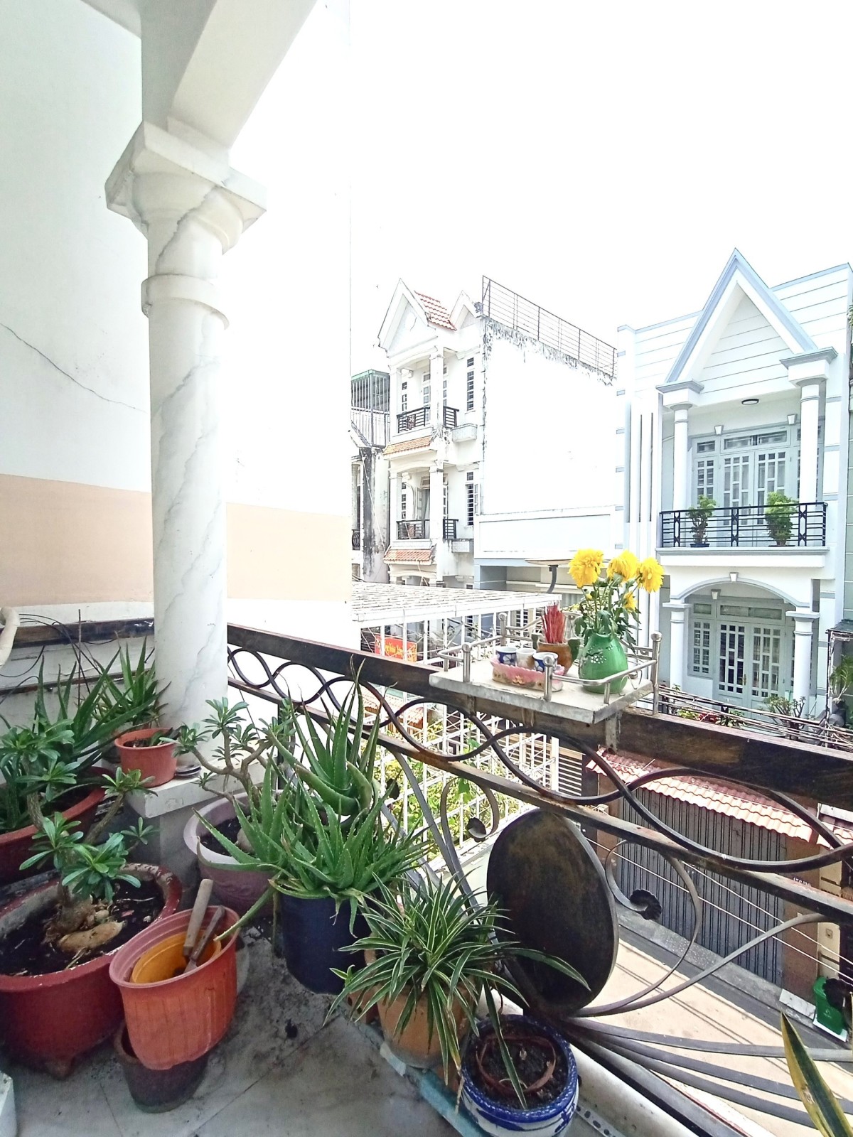 z5342985348876_29941509689b73a1d0ca210f90692d62