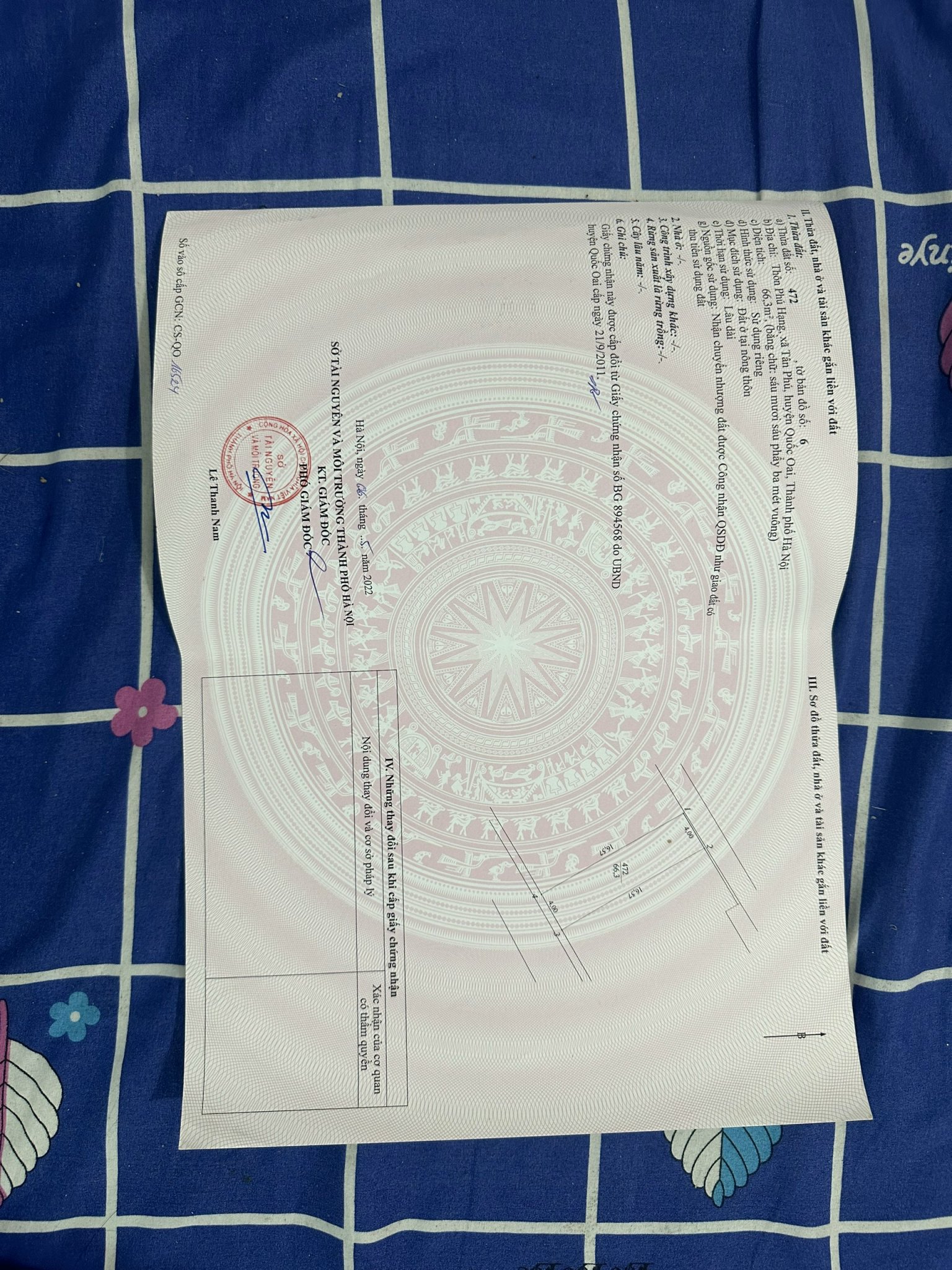 z5345316462533_0022e67a76045b05a4fabb09b7f7585d