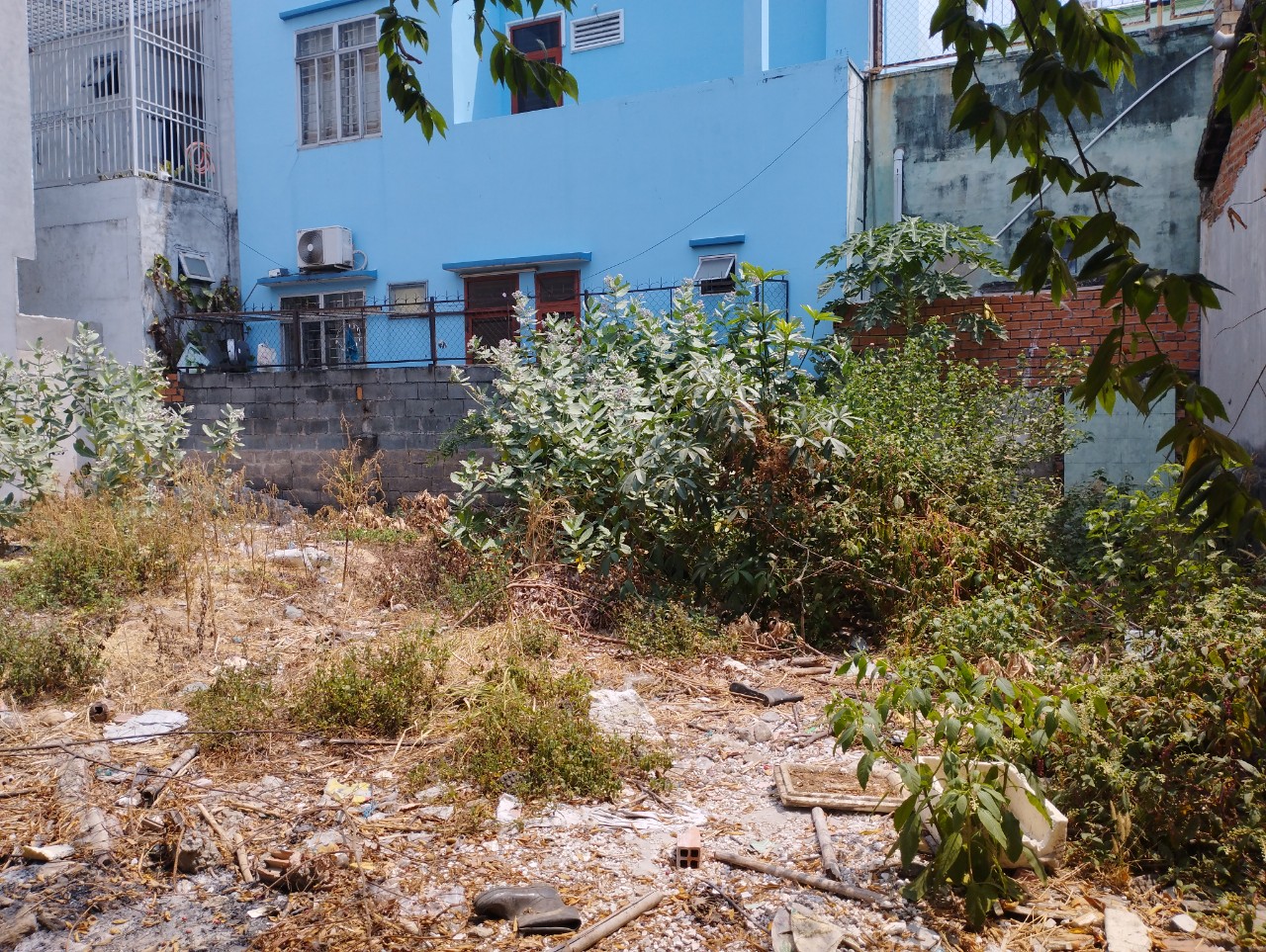 z5346865560166_a5090d0bb876b9d14b4ee383118cec23