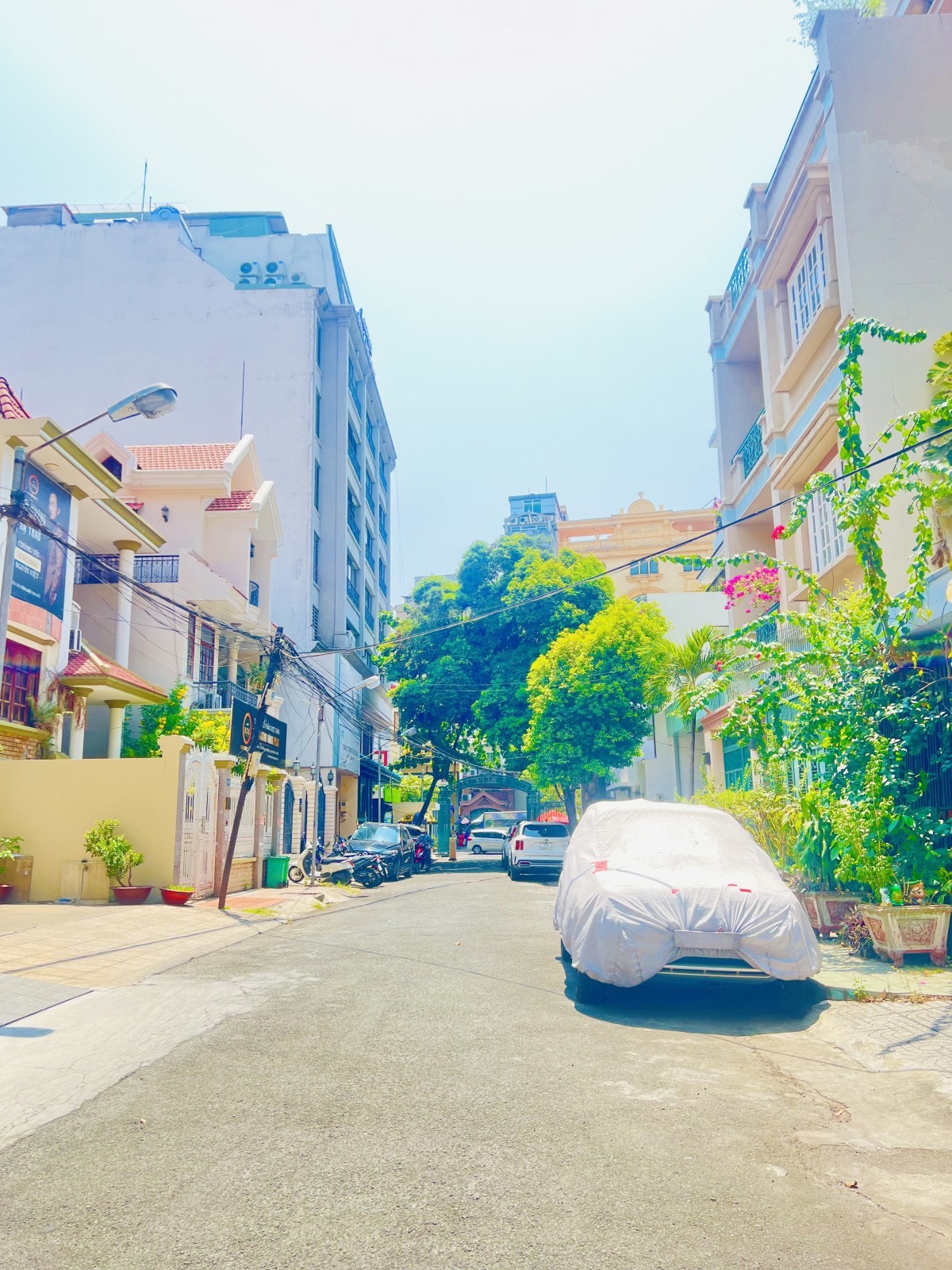 z5353310390117_aea247ba659b482cf3bff978a76065af