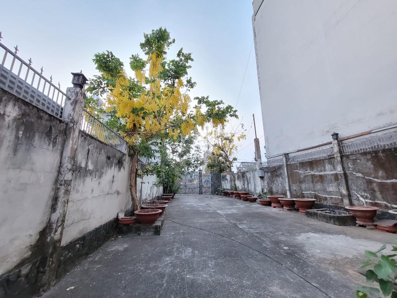 z5353892958916_e954d8263af384160e4532c742132b5e