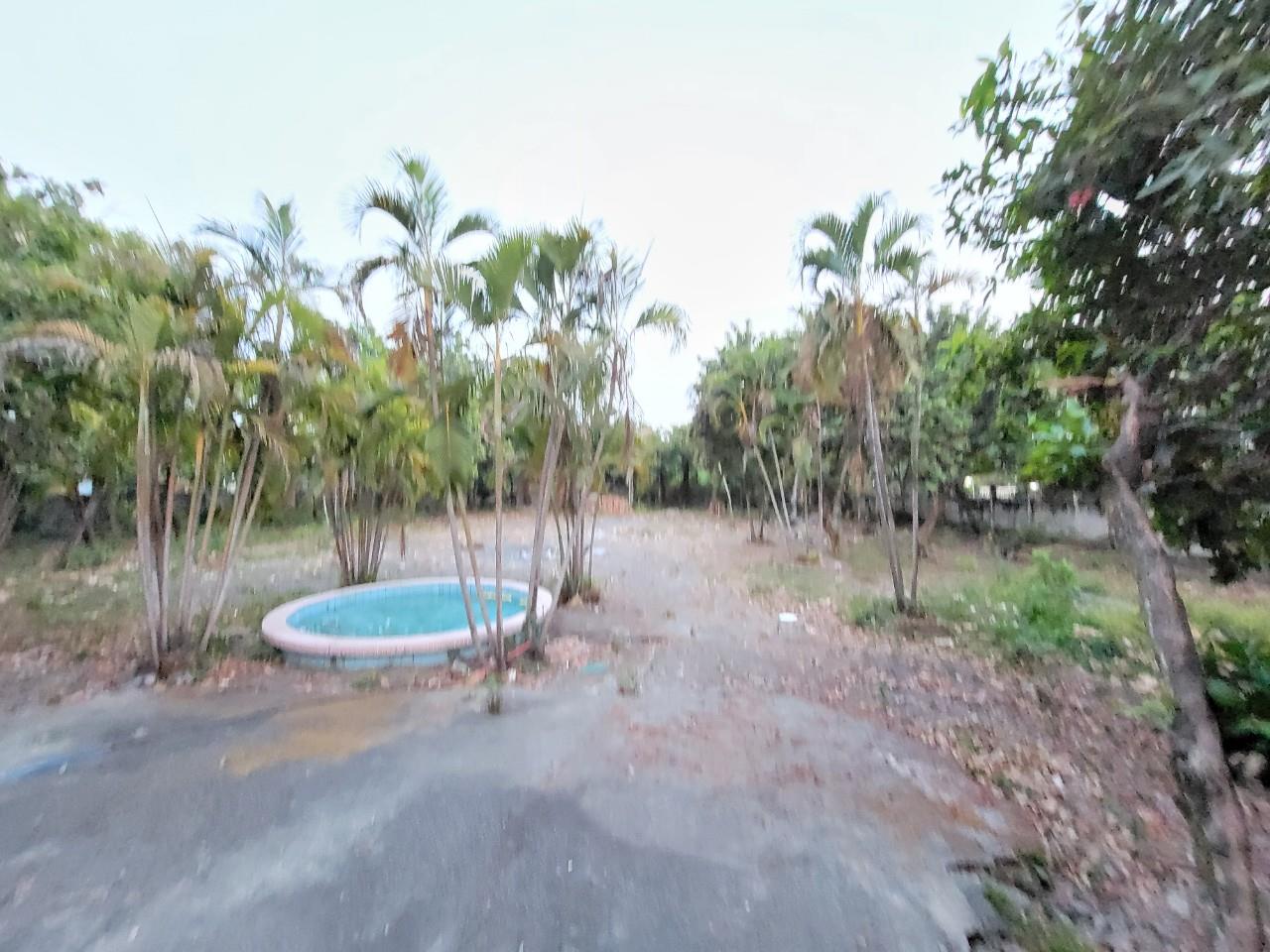 z5353892965306_0d120d2233db865df7c04cfe10139386