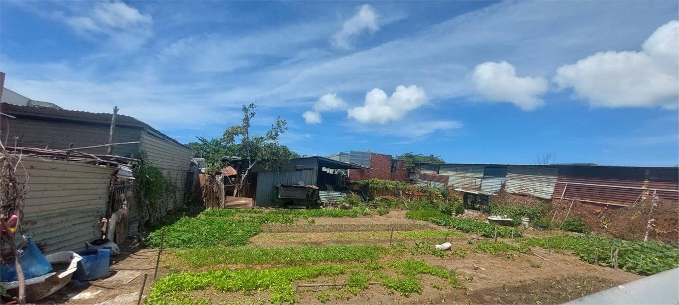 z5357391910979_bf519d94b6a5780921852181ab71154b