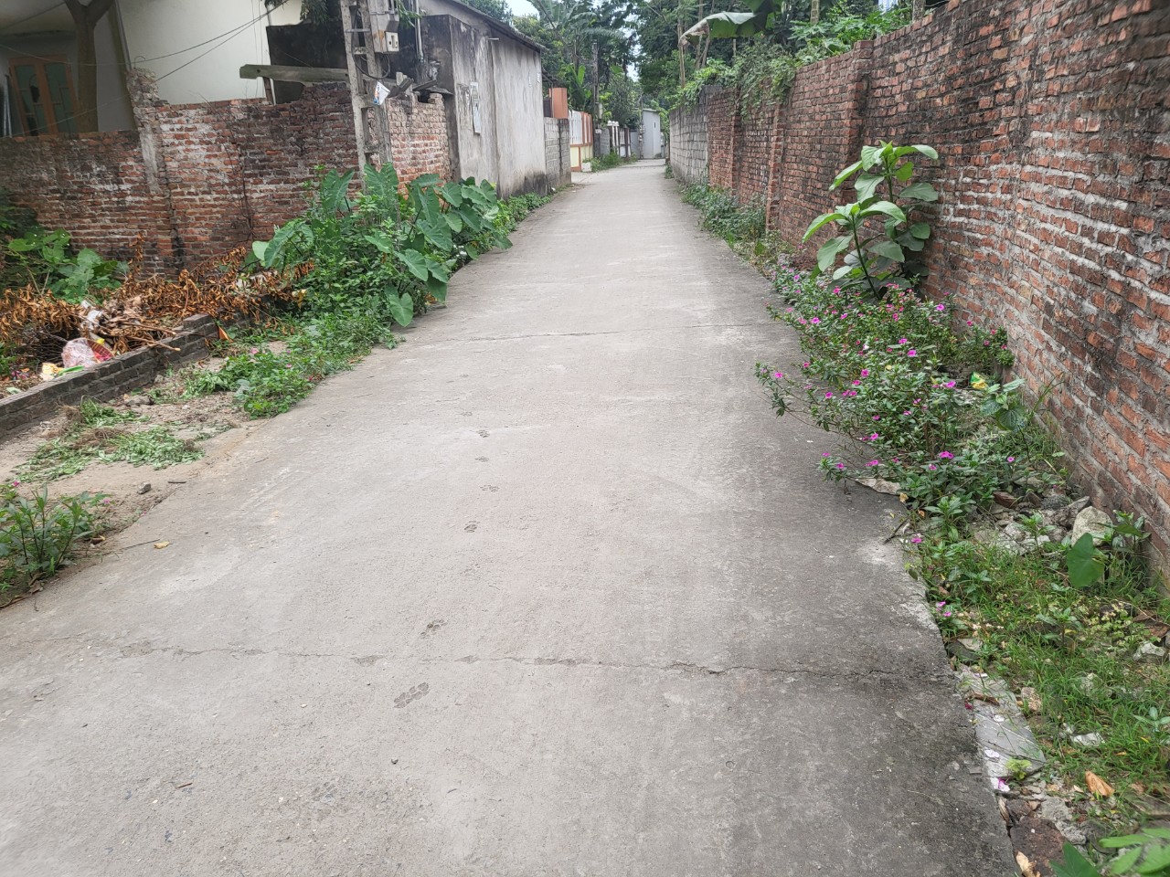 z5362218538104_170909bacc8376467a4228a00351cc42