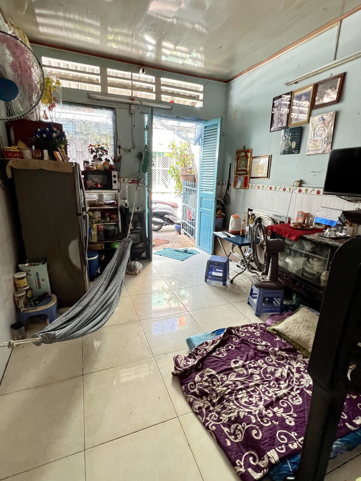 z5363916808563_b1a190e1b4f0b6501bb93f6e31de3273