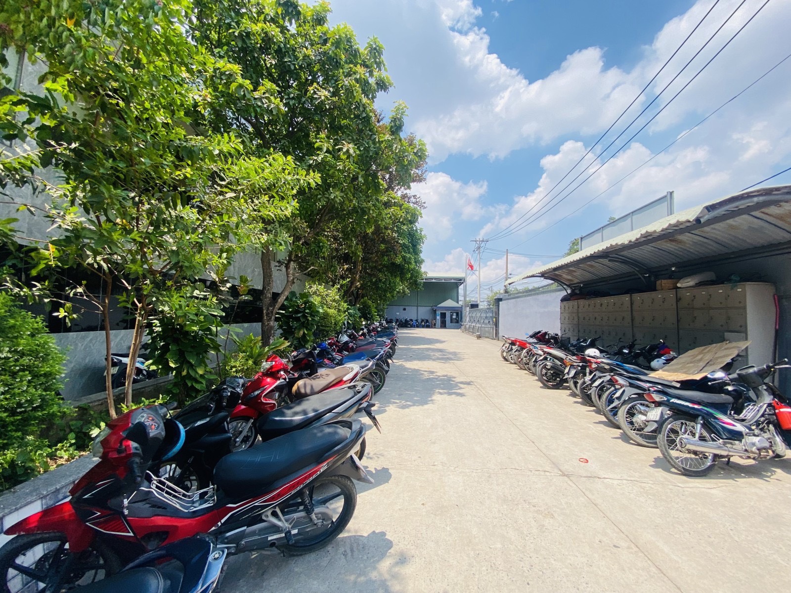 z5364492486748_2ca72c6306a9905ea53c75e9e5c59008