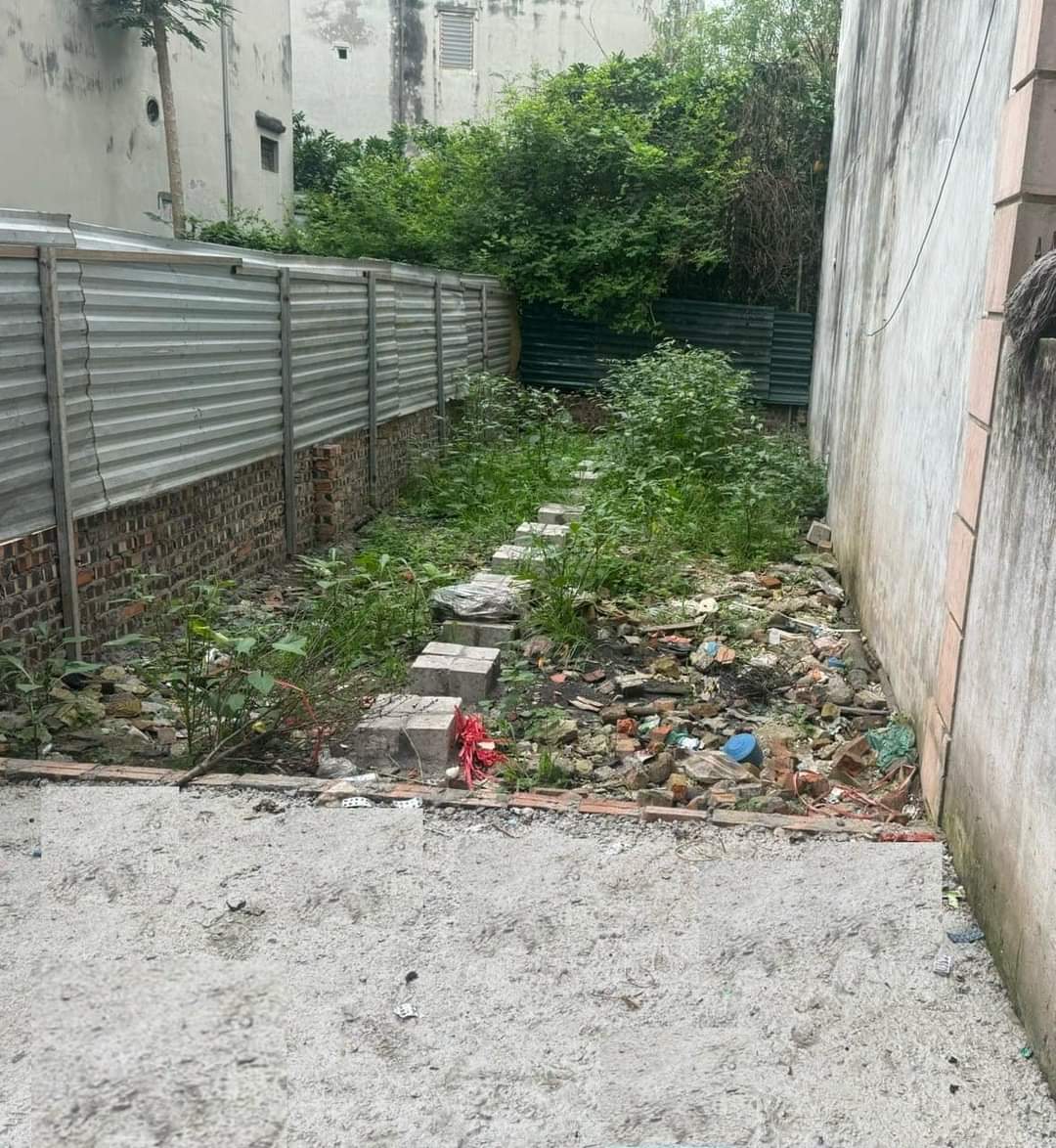 z5366959259546_be90d38cbfda57b96b0e7b3a3c5ebb4c