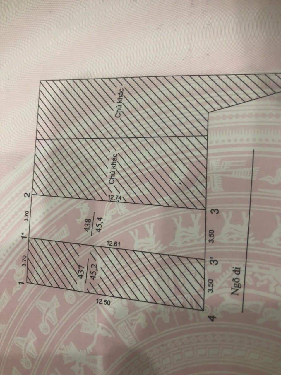 z5366959259669_4b04522cc0659f666c371cec626b8773