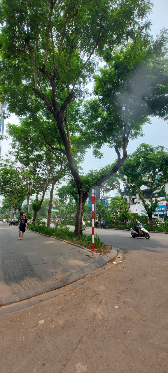 z5367251145621_cdb0609ef767703ac3848f6b91111d9b