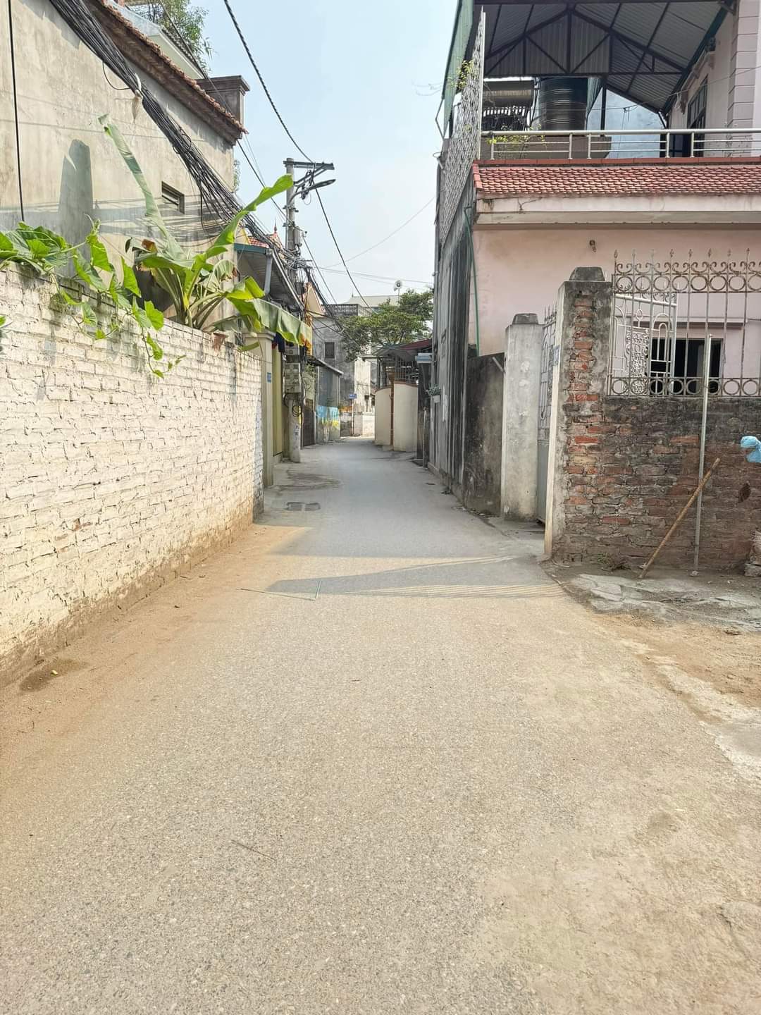 z5370866235944_cb571d404fb7ae5456b96ace65f4b7d8