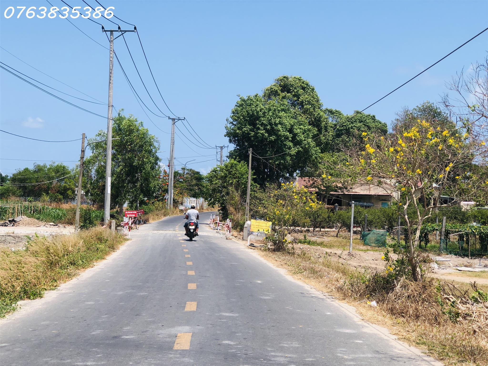 z5376459413882_4046f4e85642084924d42f188295607a