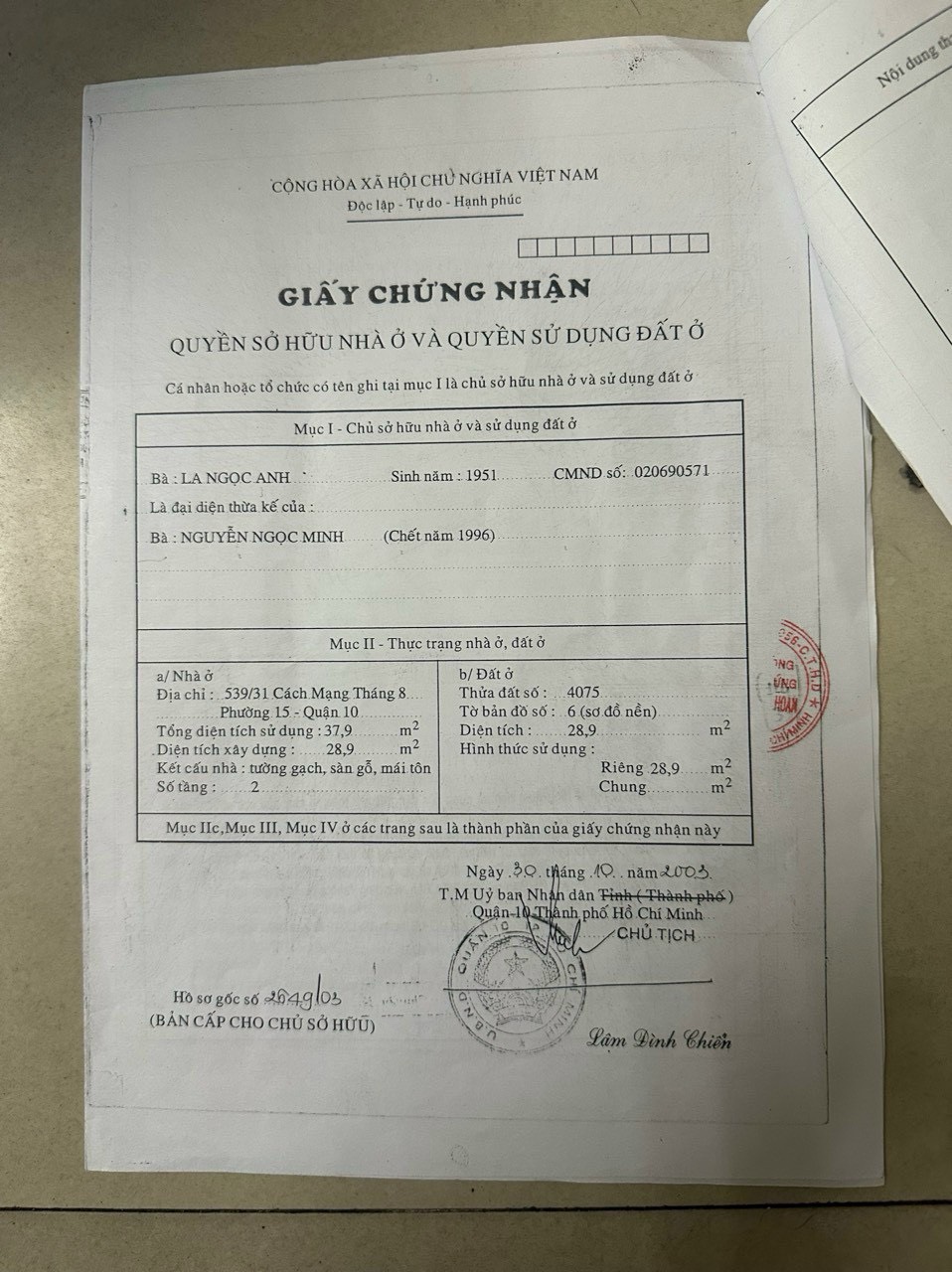 z5377489263735_428423f36d70fdeb33eac3a1ab403855