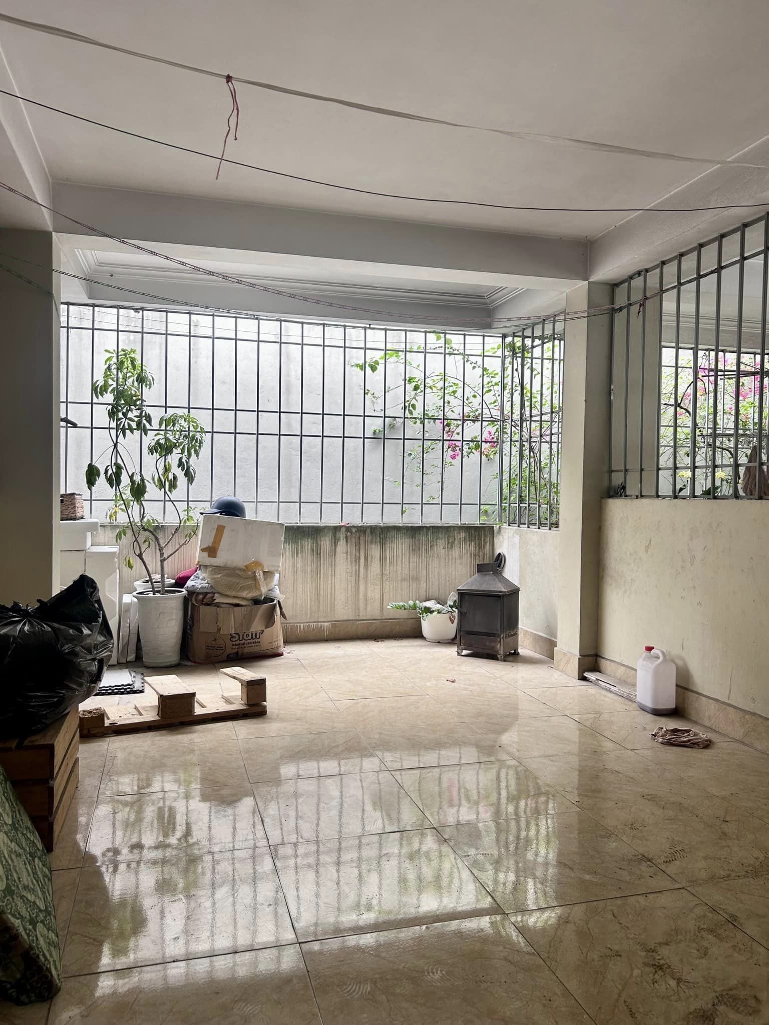 z5377918421190_5cca4f3c096d64513cc3d37e6854897e