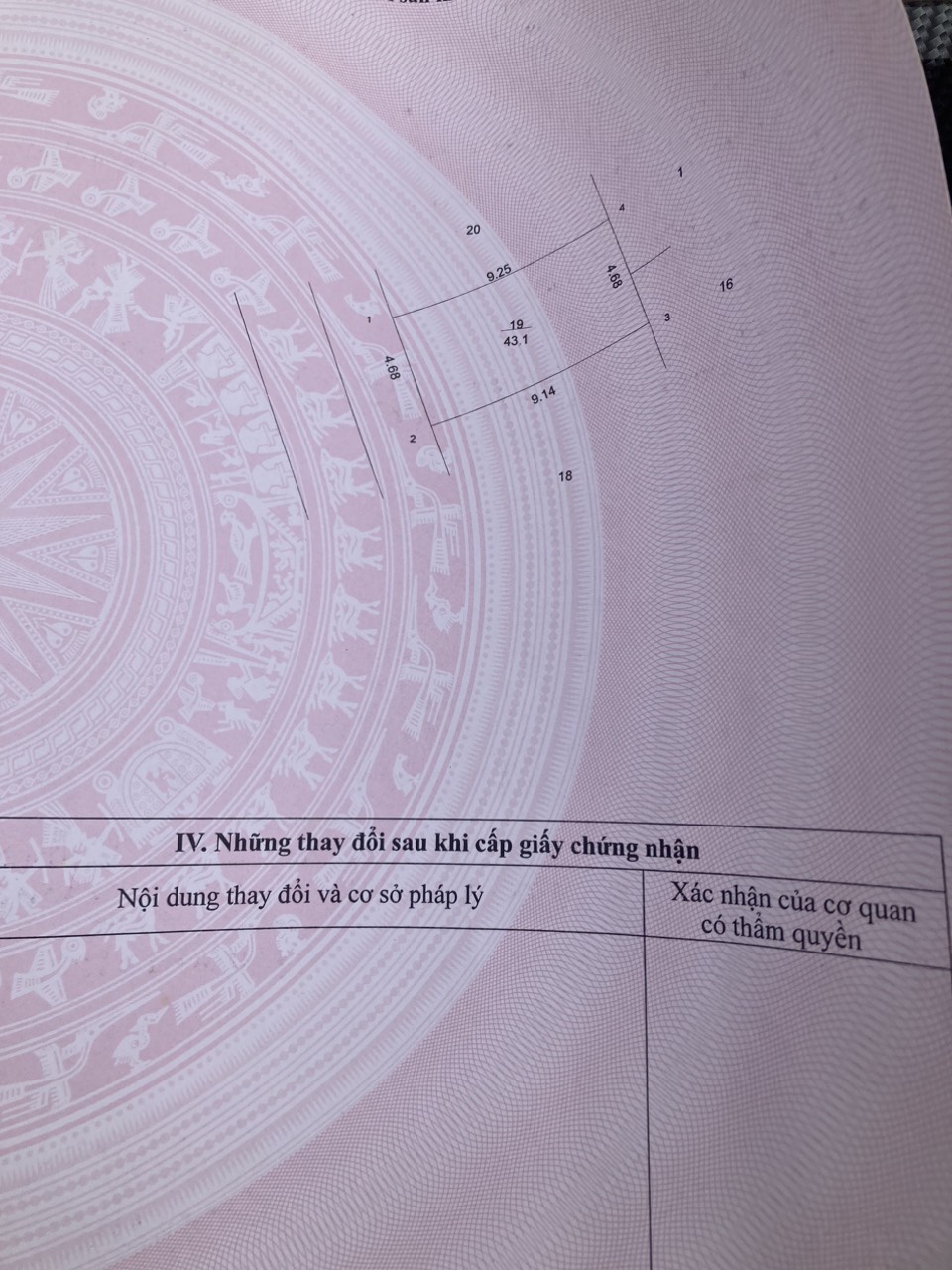 z5377928870132_17835d04f37b984b277f40b280f104d6