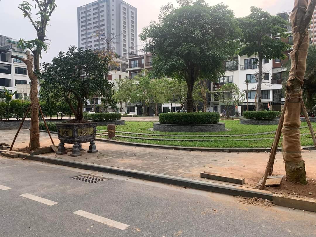 z5379941069227_f42cc262fdbdbb48f7f415b8e69f8c61