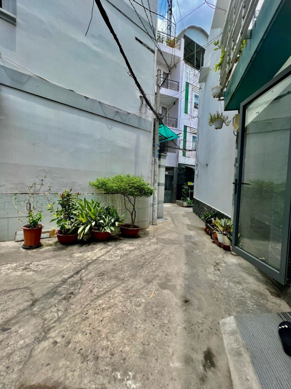 z5384869671632_67ed399d996ad6c2540fcee5ff7b68fc