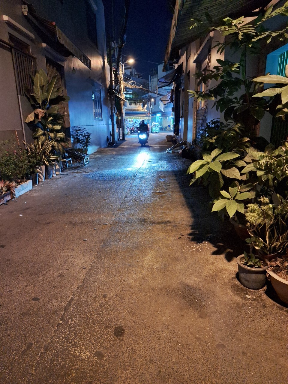 z5387511397904_bf8120ba2ab37ec78a1bcdf715fce20a