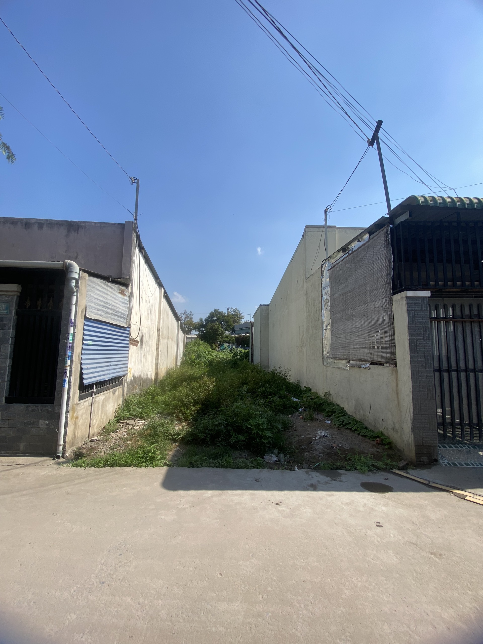 z5395429180802_cd4fe7675b3731cb11e6a54886b87394