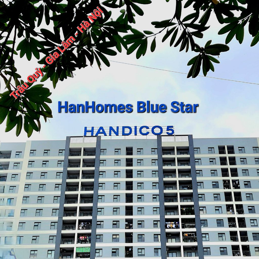 1 0989894845 Hanhomes Blue Star Trau Quy Gia Lam Ha Noi (164)
